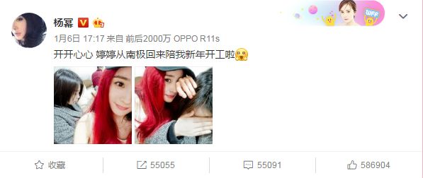 杨幂戴假发和张大大滑冰,杨幂发量少戴假发