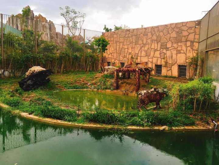 芽庄珍珠岛游乐园刺激项目,芽庄珍珠岛乐园