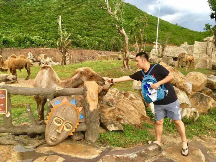 芽庄珍珠岛游乐园刺激项目,芽庄珍珠岛乐园