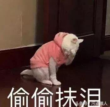 香港假货案件,香港假货案