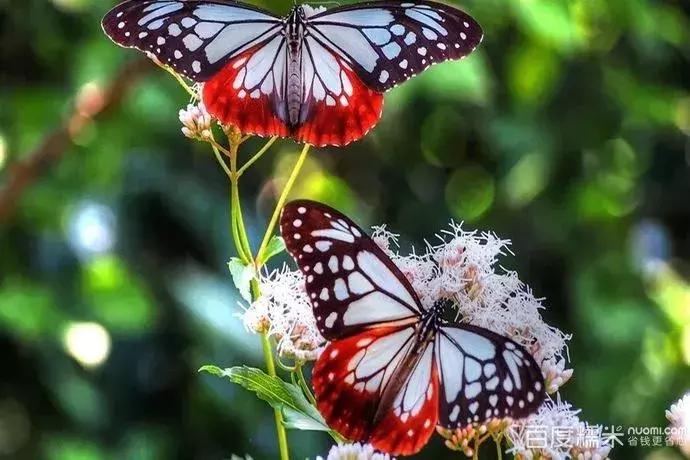 北京旅游冰雪场,北京最大冰雪乐园
