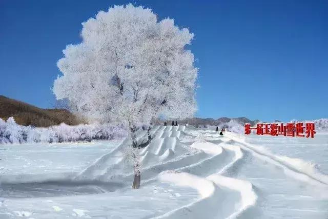 北京旅游冰雪场,北京最大冰雪乐园