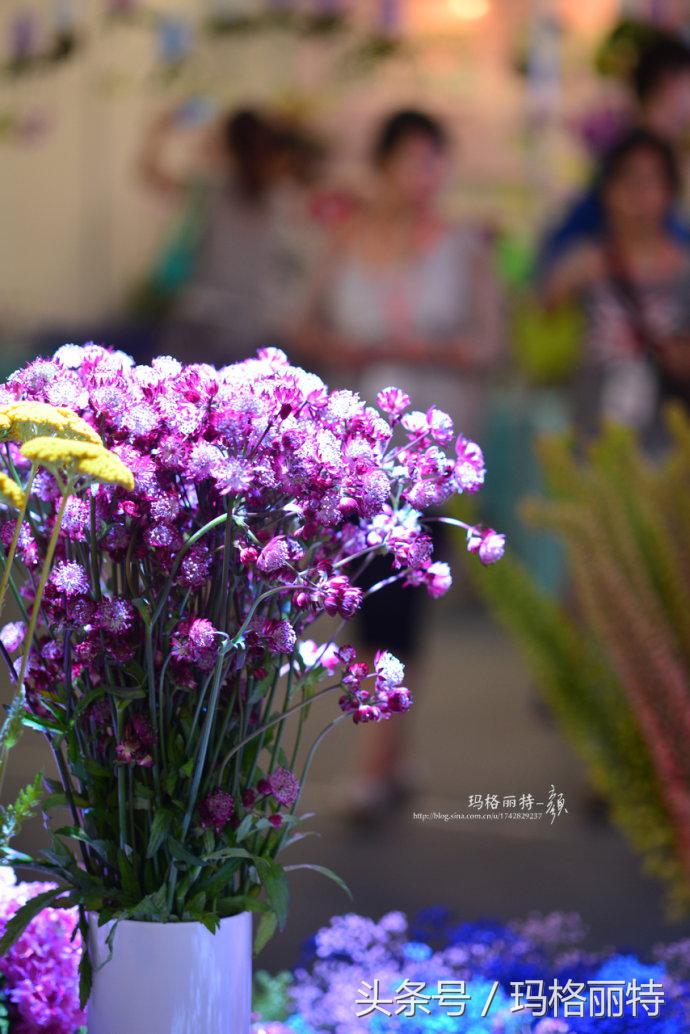 植物笔记解读视频,植物笔记关于花
