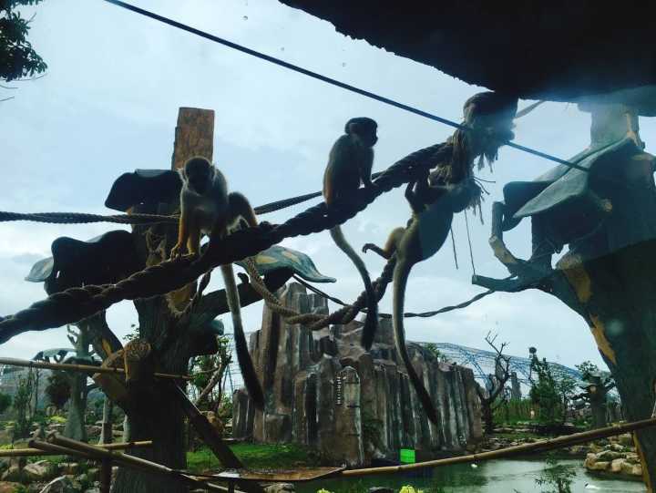 芽庄珍珠岛游乐园刺激项目,芽庄珍珠岛乐园