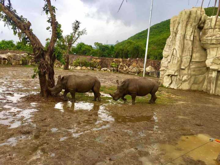 芽庄珍珠岛游乐园刺激项目,芽庄珍珠岛乐园