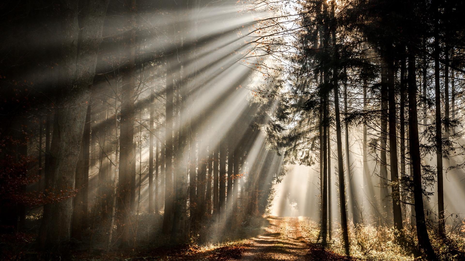 心里胆小害怕恐惧恐慌应该怎么办,如何消除恐惧焦虑和自我心理暗示