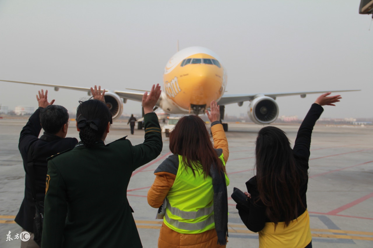 买机票上平台还是官网?各平台间的区别!