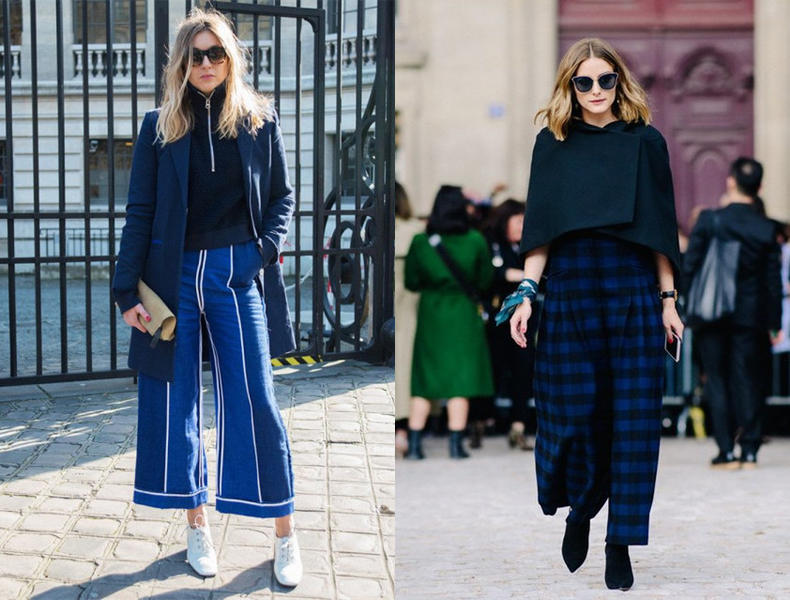 深蓝牡丹性格,富贵牡丹蓝