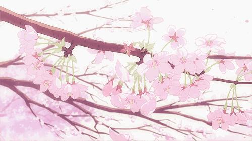 日本药妆店彩妆必买,日本药妆排行榜前十名