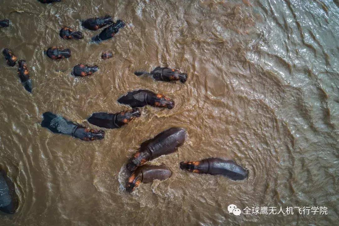 目前最好的高清无人机航拍,最震撼的无人机摄影