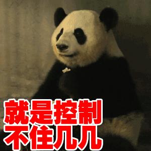 功夫大熊猫原型,功夫大熊猫是怎么练功夫的