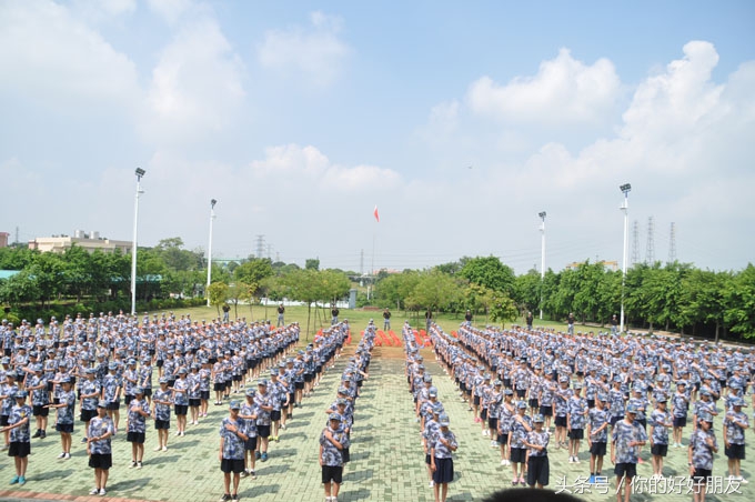 黄埔军官夏令营为什么可以火成那样！