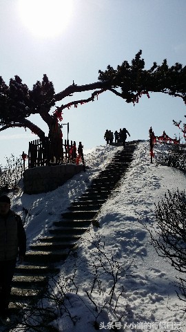 华山奇险一日游,天险华山旅游攻略