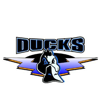 还记得CBA那些消逝的队名吗？两队成冠军代名词辽宁最另类