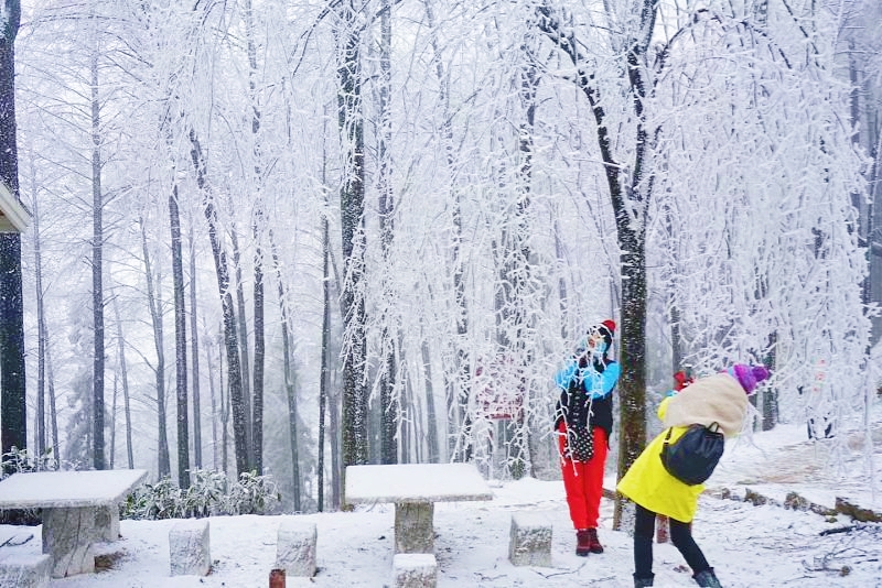 青春旅社完整版,青春旅社莫干山民宿b栋