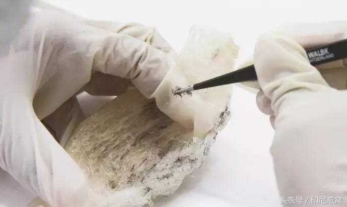 怎样快速去除燕窝里的燕毛,燕窝如何快速挑燕毛