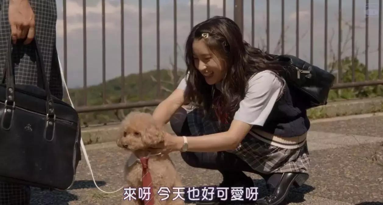 兄妹“禁忌”恋?哥哥太爱我了怎么办!