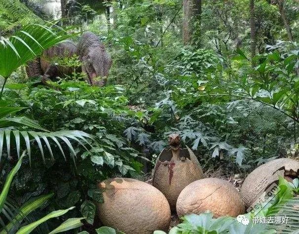 3天两晚广州长隆旅游攻略,广州长隆欢乐世界游玩攻略2021