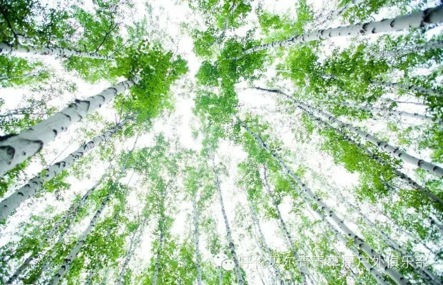 呼伦贝尔自由行攻略,呼伦贝尔自由行