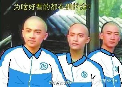 尔康表情包绿幕,尔康表情包原片段