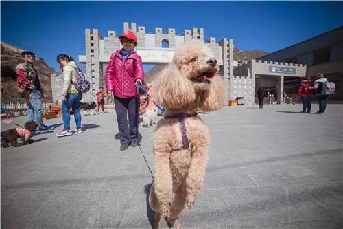 回顾欧帝亿和你相遇春の水长城