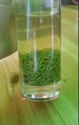 选择信阳最好毛尖茶怎么选,信阳高端毛尖茶冲泡带雾