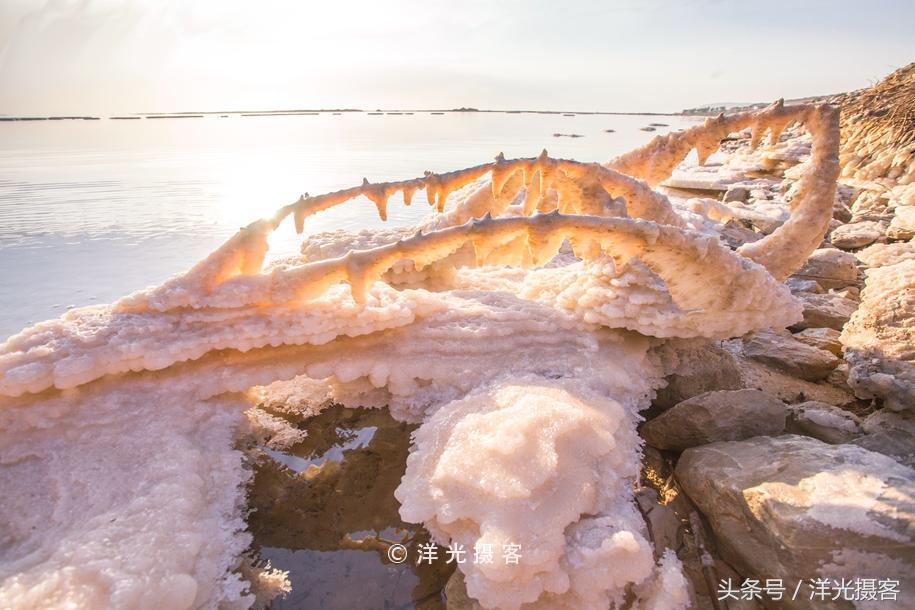 不会游泳的小明跳高,不会游泳的小明蹦极