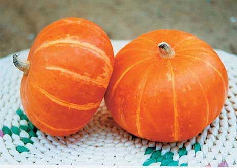 南瓜好处多冬季要常吃营养丰富,南瓜是老少皆宜的滋补佳品