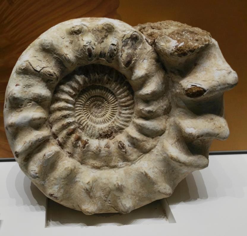 生命是什么最经典的回答,真正的生命是什么样的