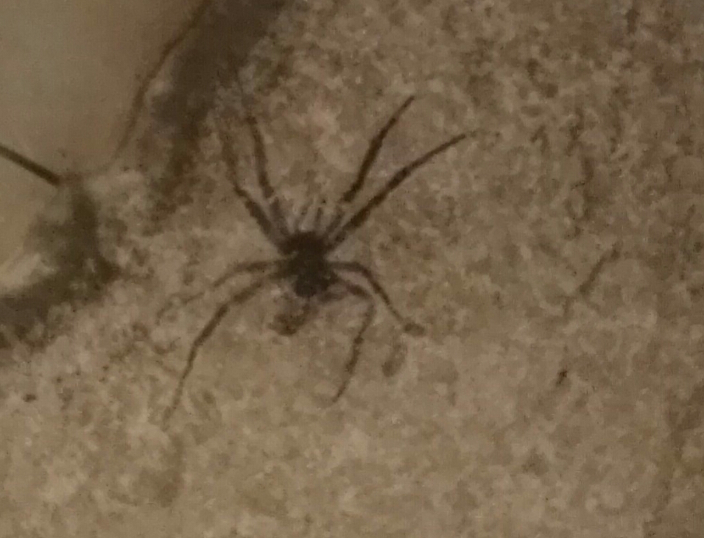 生命是什么最经典的回答,真正的生命是什么样的