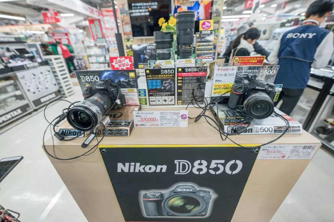 狗哥的热评,狗哥热评