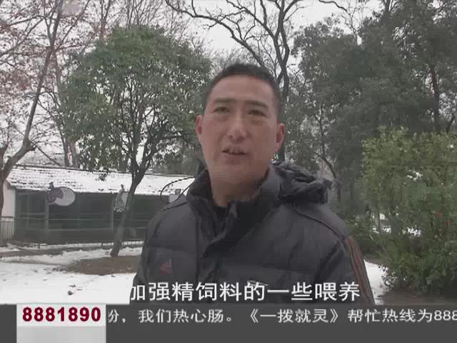 雨山湖动物园,马鞍山雨山湖动物园