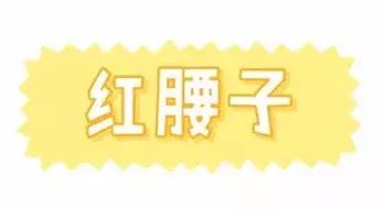 兰蔻小黑瓶和红腰子精华测评,资生堂红腰子精华和兰蔻小黑瓶