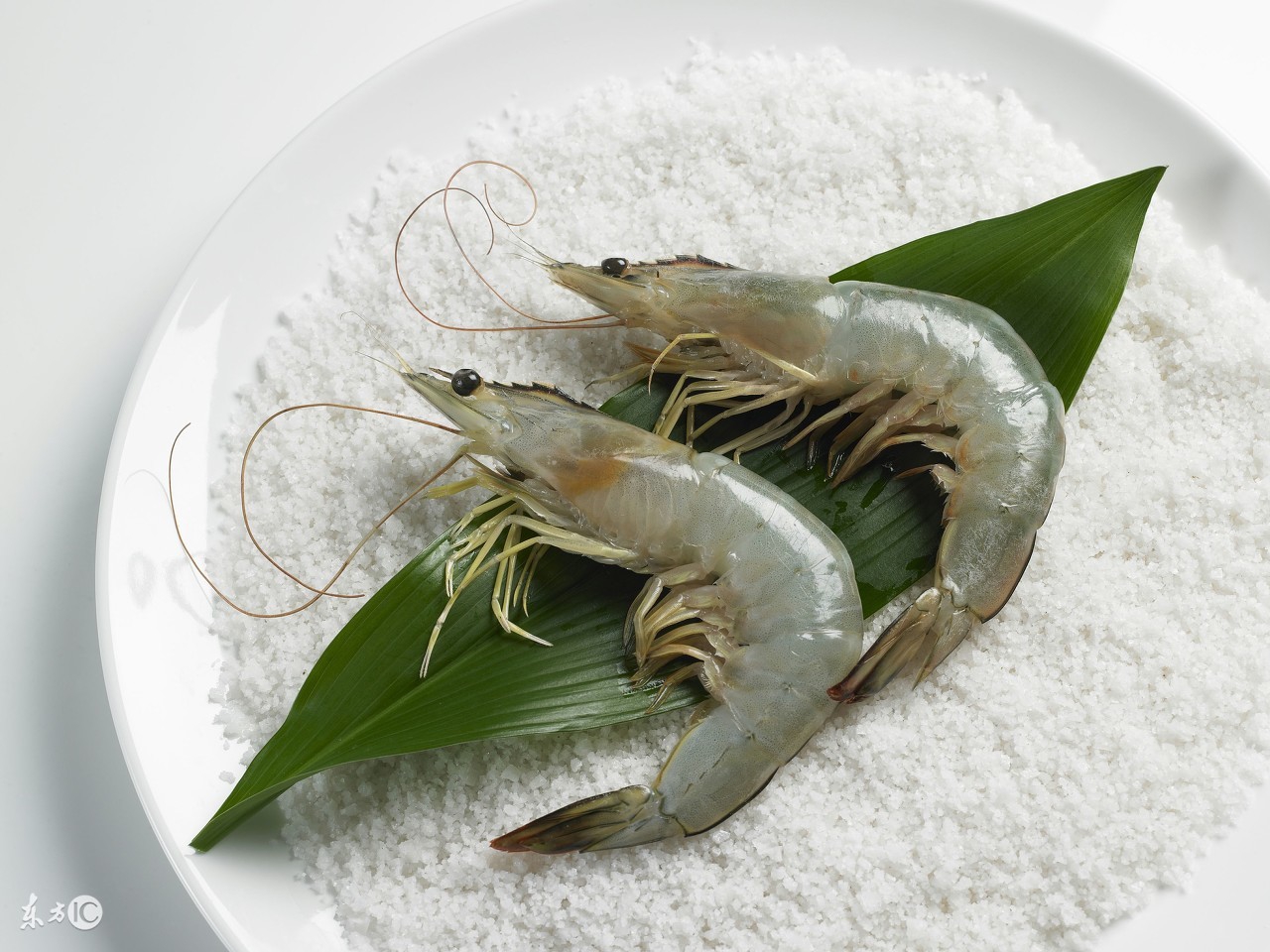 用我的窍门,扒虾壳特快,开背去沙线,一步到位不浪费