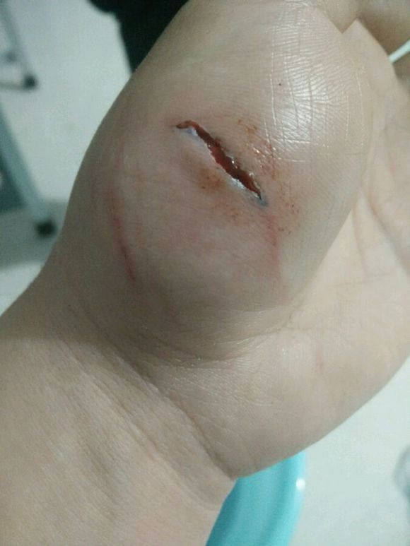 萨摩耶调皮瞬间,盘点萨摩耶可爱瞬间