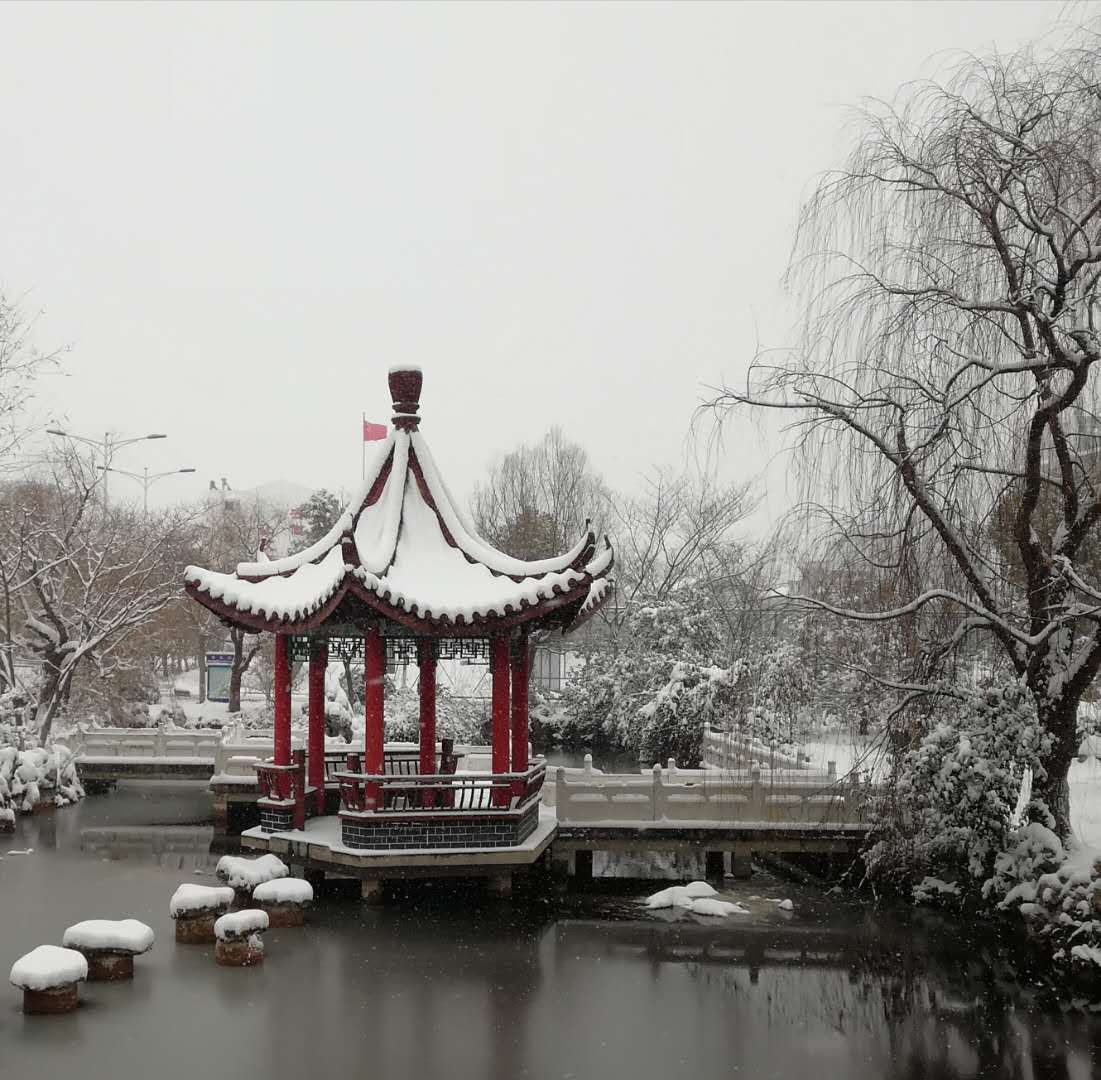 你下你的雪，我跳我的舞！