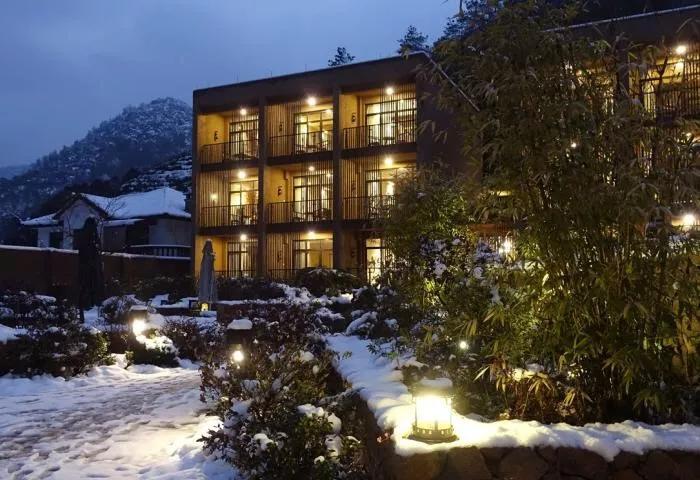 青春旅社完整版,青春旅社莫干山民宿b栋