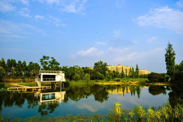 四川天府逸家最新房价,成都双流逸家二期房价