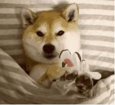 二十款面膜测评之平价面膜,大牌平价面膜推荐哪款好用