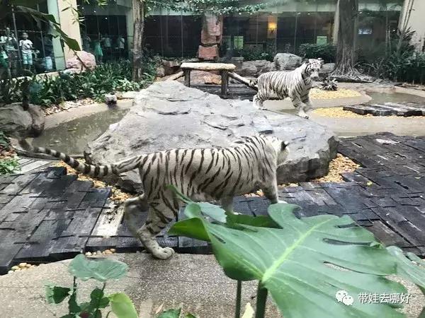 3天两晚广州长隆旅游攻略,广州长隆欢乐世界游玩攻略2021