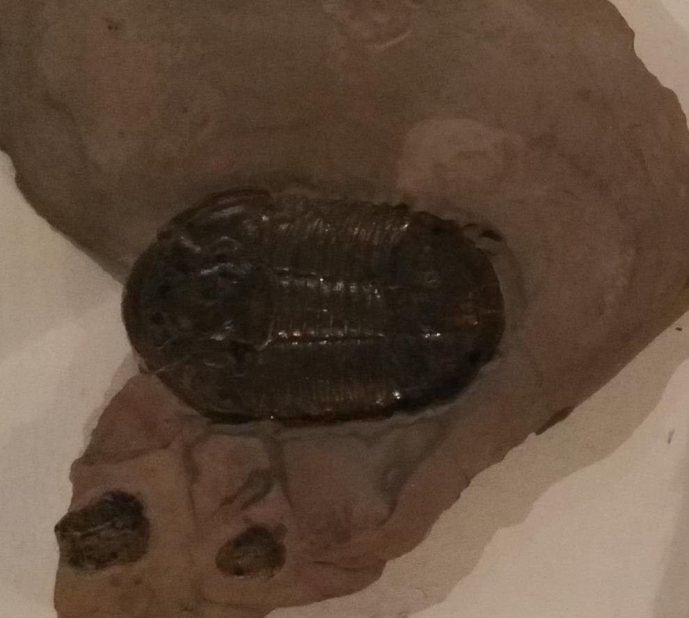 生命是什么最经典的回答,真正的生命是什么样的