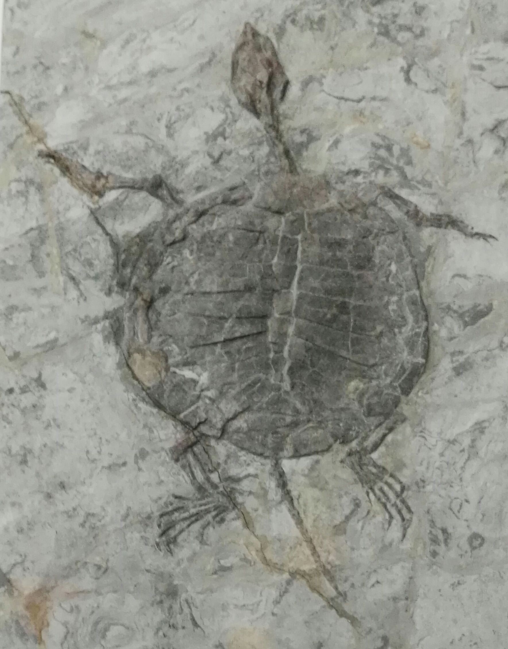 生命是什么最经典的回答,真正的生命是什么样的