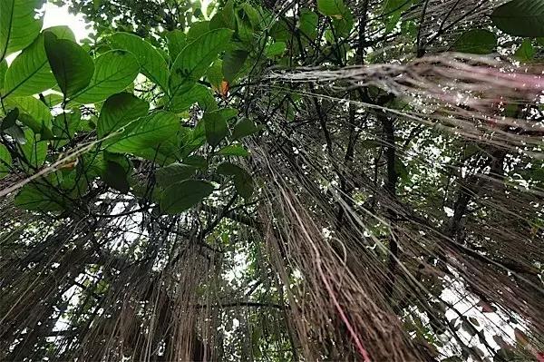 曼谷relaxingtimespa,曼谷spa养生视频