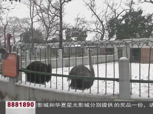 雨山湖动物园,马鞍山雨山湖动物园
