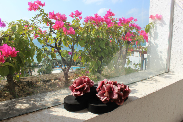 三亚爱琴海旅游攻略,爱琴海鸟巢