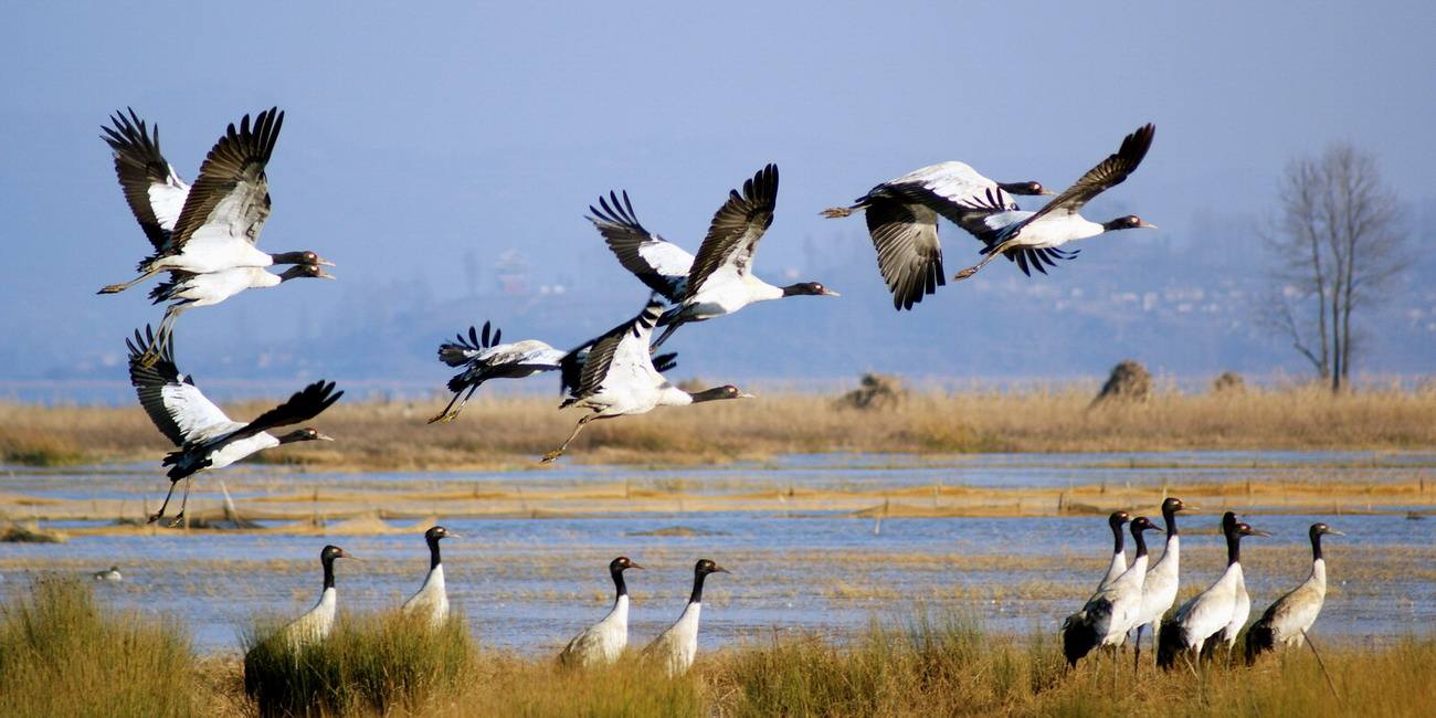 冬季的大理丽江,这个冬天一点不要错过丽江