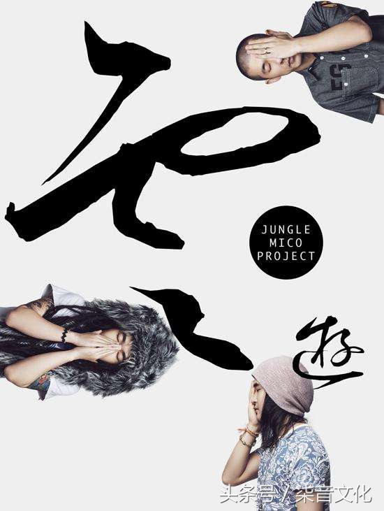 高宇峰贝斯怎么样,高宇峰贝斯电子摇滚