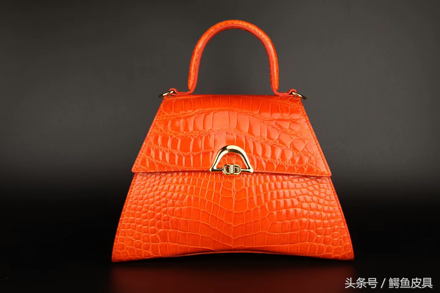 鳄鱼皮种类图片大全,喜马拉雅鳄鱼皮种类