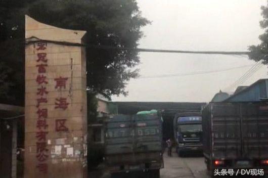 炼猪油厂污染范围多少米,曝光小作坊猪油