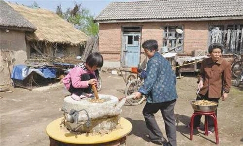 东北人怎样做大酱,东北农村怎么样做大酱